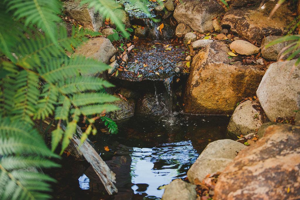 Noosa Valley Manor B&B Doonan Eksteriør bilde