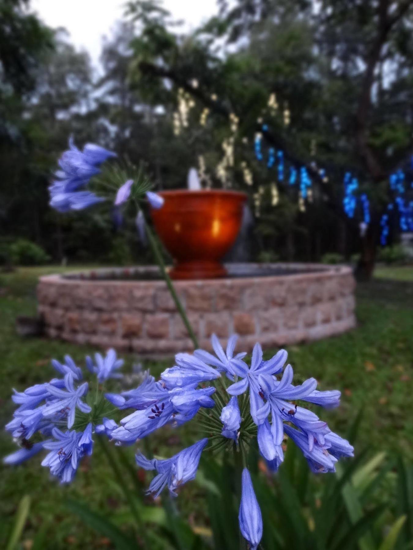 Noosa Valley Manor B&B Doonan Eksteriør bilde