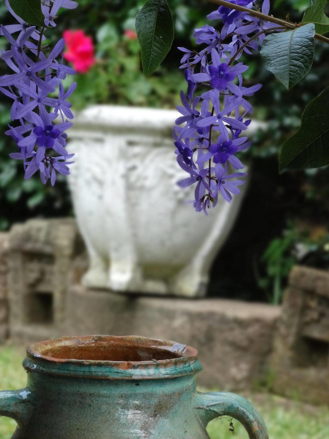 Noosa Valley Manor B&B Doonan Eksteriør bilde